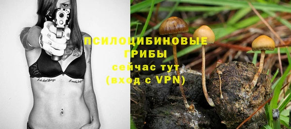 твердый Аркадак