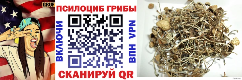Псилоцибиновые грибы Cubensis  Тырныауз 